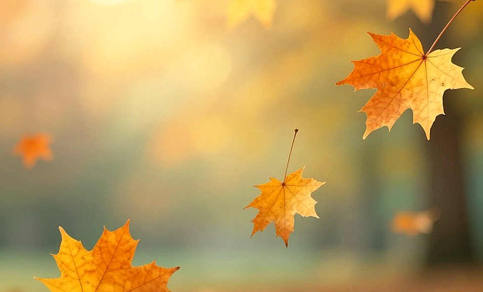 ৪.১৫ মিটার ইতিহাস, আর ফলাফল-পত্রে না-লেখা সময়
